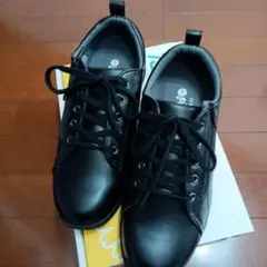 Item thumbnail for item f65951fb-6796-45f2-aa51-fcf1ca20a1dd