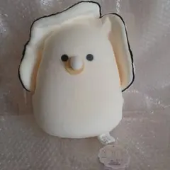 つぶらな瞳の和食屋 むぎゅぬい おっきめ べびーなまがき