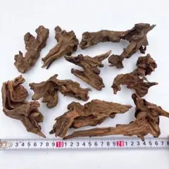 3 洗浄済み　流木　SSサイズ　まとめ売り　アクアリウム　観賞魚　テラリウム
