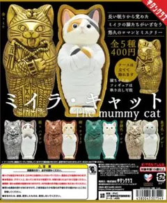 【未開封】ミイラキャット　銅チャトラ