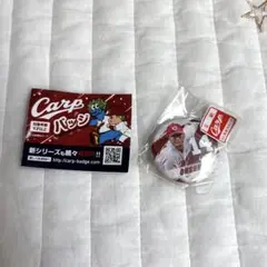広島東洋カープ　缶バッチ　carp カープ　ガチャガチャ　大瀬良大地