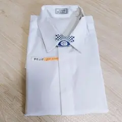 Item thumbnail for item 4acf6839-eb1f-477b-aaa0-5a4c4adffa6e