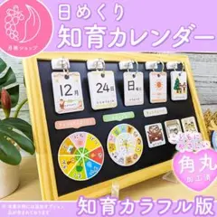【カラフル】前向き日めくりカレンダー 知育版 視覚支援 保育教材 療育 2025