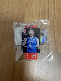 石川真佑 モバガチャ アクキー バレーボール