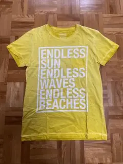 オスクレン OSKLEN Tシャツ