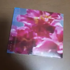 MONDO GROSSO 新しい光の中で生まれる
