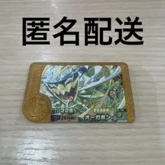 ポケモンフレンダ　オーガポン　レガシーピック