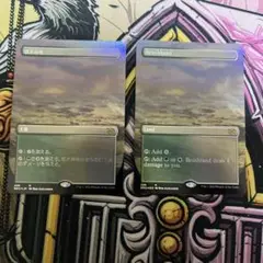 低木林地 拡張 foil