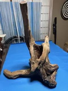 Item thumbnail for item f368d175-6772-4cc3-adb3-5a501aeadd87