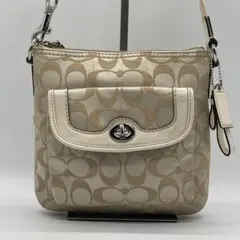 Item thumbnail for item 7fb91326-87c8-4be9-bd82-0369b8190bda