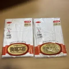 グンゼ Vネックスリーブ 3L 綿100% 日本製　２枚セット