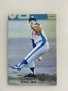 プロ野球チップスカード プロ野球カード　男！！星野仙一付き！！ 22カルビープロ野球チップス第3弾 M-18 星野仙一 復刻カード