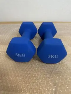 早い者勝ち 鉄アレイ ダンベル 5kg ２本セット　計10kgセット