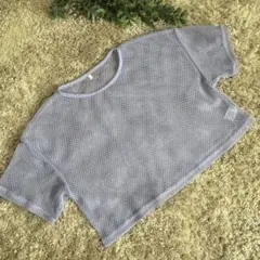 GU ジーユー メッシュ クロップドTシャツ ラベンダー色 L