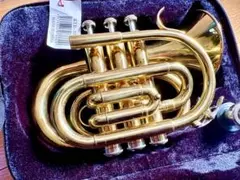 Item thumbnail for item 31f61586-b63b-4700-8455-4f52f08d0cb1