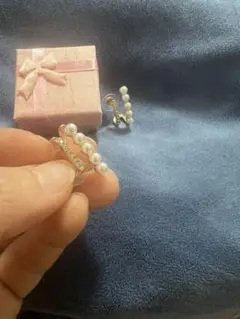 Fashion earrings