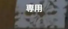 専用