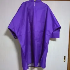 Item thumbnail for item 2a2d9433-adb5-43bc-99d8-70b1a3436f97