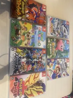 Nintendo Switch ゲームケースのみ