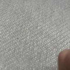 猫の毛1本