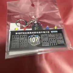 第107回全国高校野球選手権大会　全出場校名入り　キーホルダー