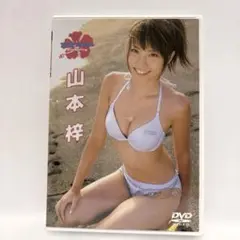 山本梓　DVD　「アズベリー」