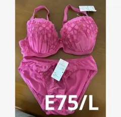 新品 ワコール ブラセット E75 L 値下げ