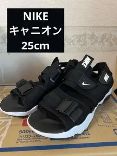 今日まで！限定値下げ！✨洗浄済✨NIKE キャニオンサンダル 25cm ブラック