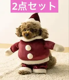 Item thumbnail for item 49bf231a-fb4a-4c7a-b063-6875cb3a348e