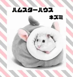 Item thumbnail for item cfb84a4b-90b8-4405-be48-5e8b78f70499