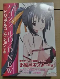 ハイスクールD×D NEW　ビジュアルコレクション 下巻　メガミマガジン Amazon.co.jp: ハイスクールD×D NEW ビジュアルコレクション