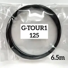 Gツアー1 125
