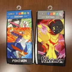 ポケモン ミニタオル 2枚セット PK43681