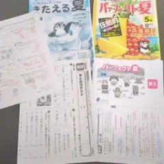 3新品未使用♥ぶんけい　パーフェクト夏　5年生　まとめテスト付