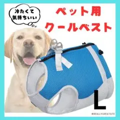 Item thumbnail for item 1aec472b-df9a-4f90-b300-c231a1ce7ec0
