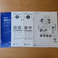 ベネッセ　進研模試　高校1年　2025年度7月　国語　数学　合格ライン　解答解説