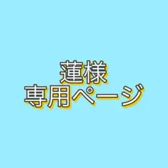 蓮様専用ページ 斉宮宗2点セット