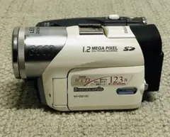 美品・動作良好 パナソニック NV-GS120 MiniDV ビデオ ダビングに Panasonic NV-GS120-S Mini DV Cassette Color Night View