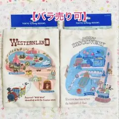 ⭐️ディズニーリゾート テーマポートトートバッグ2点セット【新品未使用】