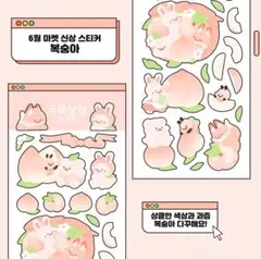 韓国作家 ステッカー dduddu bearさん 77