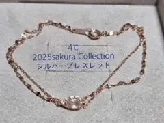 Item thumbnail for item 8884cfa3-c8a1-4121-a5b5-93952d21d084
