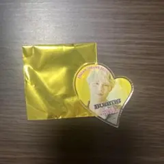 エビライ 2025 ランダム マグネット BUDDiiS SHOW
