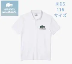 Item thumbnail for item 10039886-a344-4bc4-8dc2-d0c350c0c733