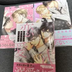 君に恋するはずがない　合計3冊セット