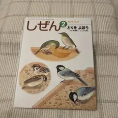 Item thumbnail for item 22b91cca-bd38-4d07-84d5-286eb2b6feef