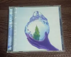 nowisee reALIVE CD アルバム