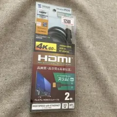 サンワサプライ HDMIケーブル KM-HD20-PS20 2m