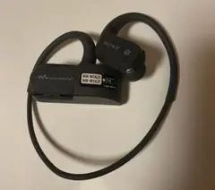 SONY ソニー NW-WS620 防水 防塵 ワイヤレスイヤホン