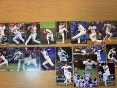 Calbee プロ野球チップスカード（セリーグ4球団）
