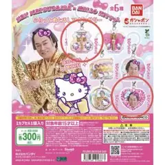 マツケンサンバ×ハローキティ ふらっとめじるしアクセサリー まとめ売り